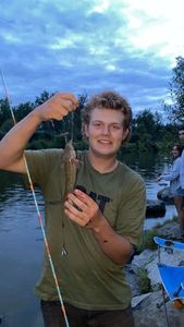 Burbot