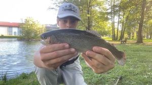 Rainbow Trout