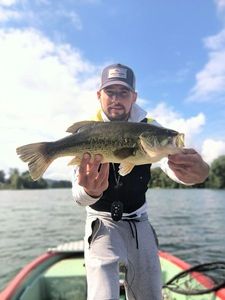 Smallmouth Bass