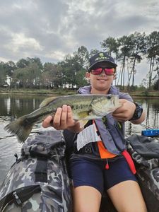 Largemouth Bass