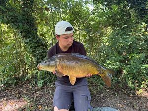 Mirror Carp