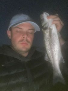 European Bass (Seabass)