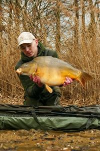 Mirror Carp