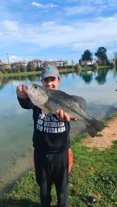 Smallmouth Bass
