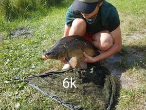 Mirror Carp