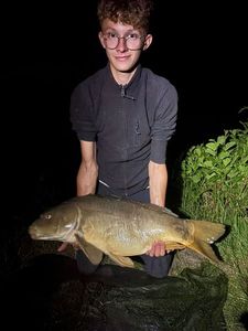 Mirror Carp