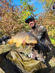 Common Carp