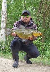 Tench