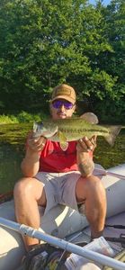 Largemouth Bass