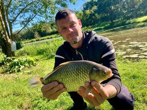 Crucian Carp