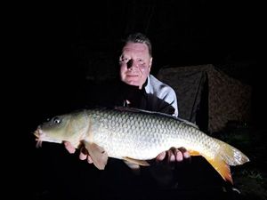 Common Carp