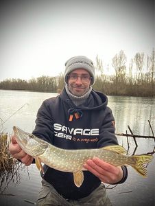 Northern Pike