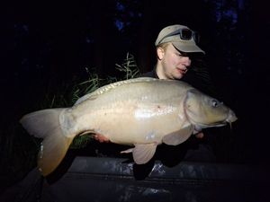 Mirror Carp