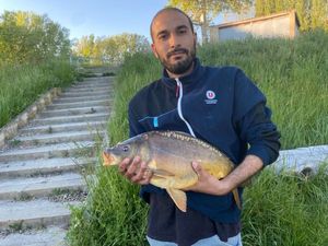 Mirror Carp