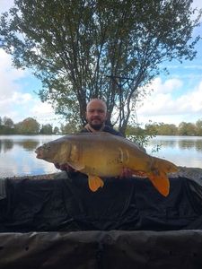 Mirror Carp