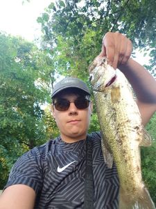 Largemouth Bass
