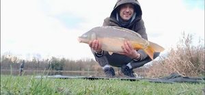 Mirror Carp