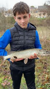 Northern Pike