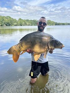 Mirror Carp