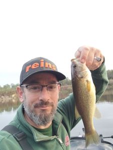 Largemouth Bass