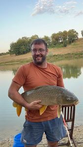 Common Carp