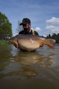 Mirror Carp