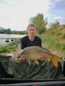 Mirror Carp