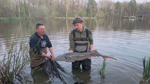 Sturgeon