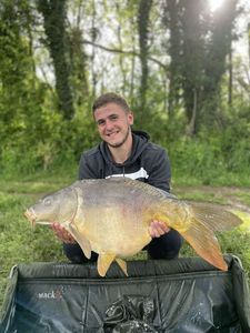 Mirror Carp