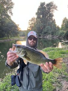 Smallmouth Bass