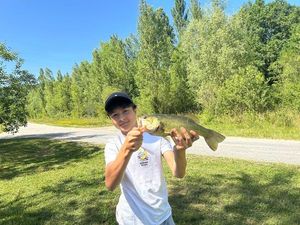 Largemouth Bass