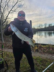 Northern Pike