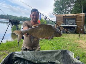 Common Bream