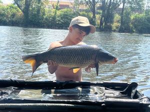 Common Carp