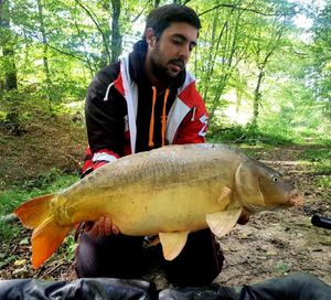 Mirror Carp