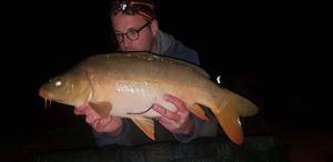 Mirror Carp