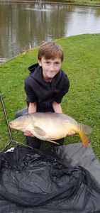 Mirror Carp