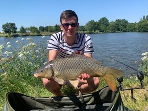 Common Carp