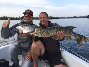 Northern Pike