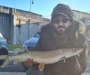 Northern Pike
