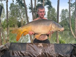 Mirror Carp
