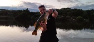 Largemouth Bass