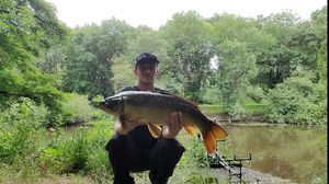 Common Carp