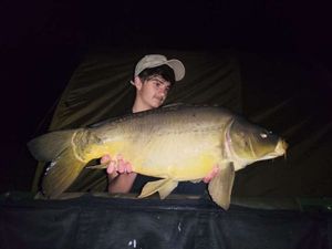 Mirror Carp