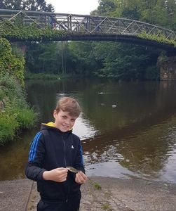 Largemouth Bass