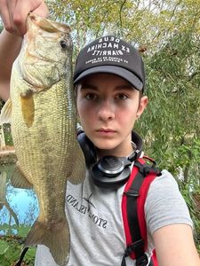 Smallmouth Bass