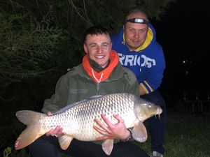 Common Carp