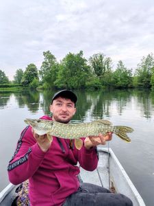 Northern Pike