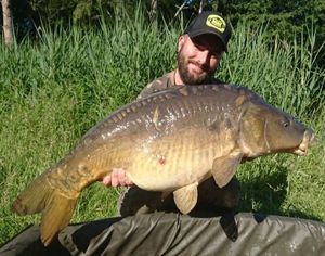 Mirror Carp