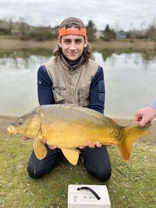 Mirror Carp